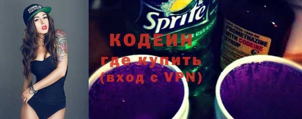 молекула духа Лабытнанги
