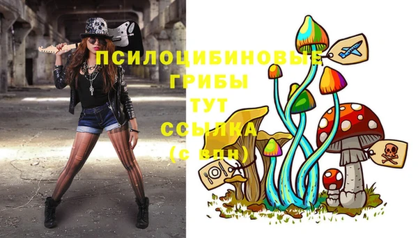 молекула духа Лабытнанги