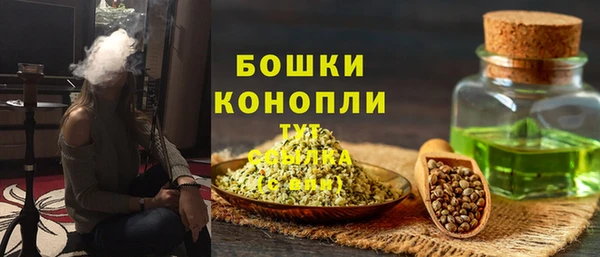 молекула духа Лабытнанги