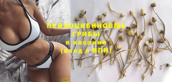не бодяженный Кукмор
