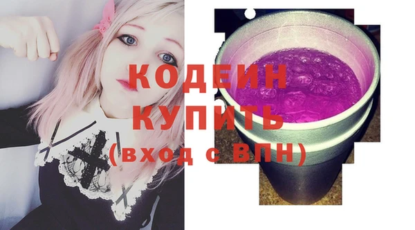 молекула духа Лабытнанги