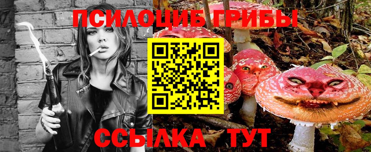 Тамбов  Галлюциногенные грибы Cubensis  Вход с VPN 