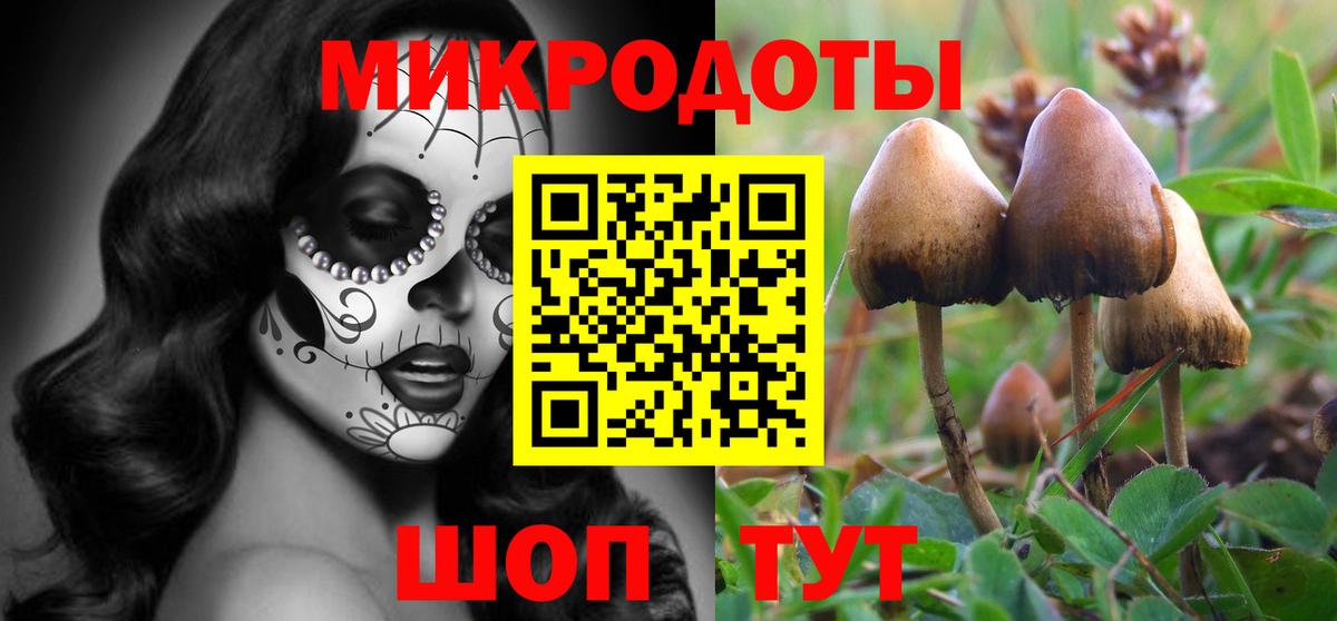 Галлюциногенные грибы MAGIC MUSHROOMS Тамбов